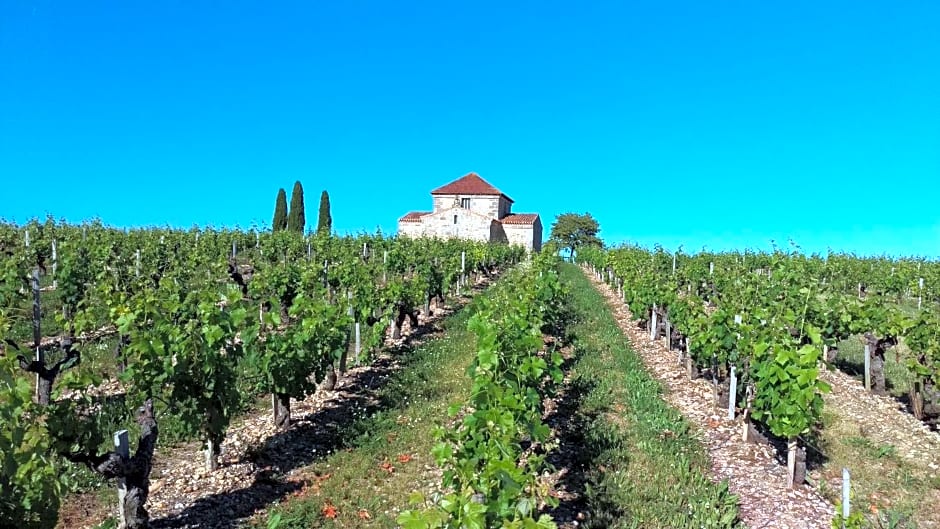 Au cœur des vignobles