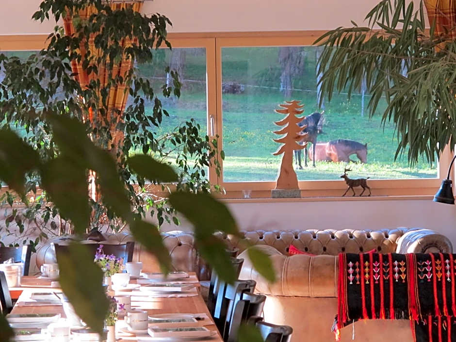 Reitstall und Saloon San Jon