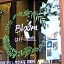 Lipe - Bloom Cafe and Hostel