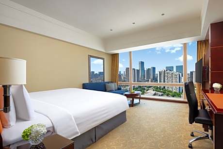 Deluxe Double Room with City View