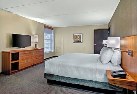 One-Bedroom King Suite with Sofa Bed