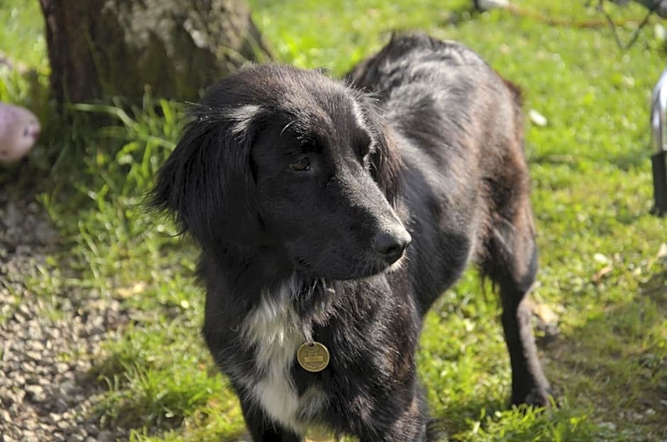 Chalúpka u Babičky