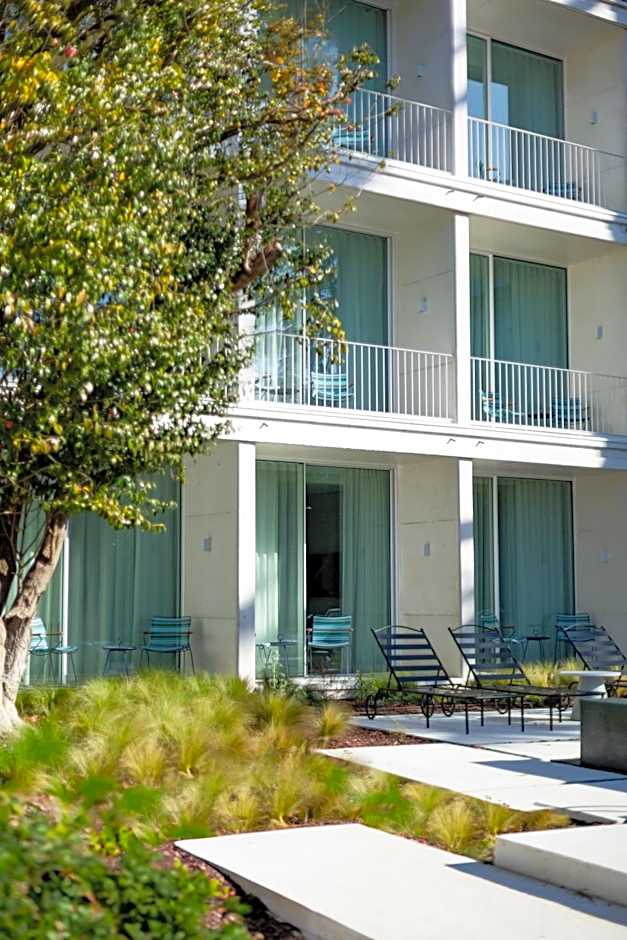 One Shot Palácio Cedofeita