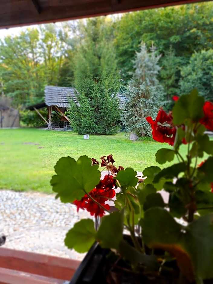 Siedlisko Lubicz Stara Chata Kazimierz Dolny