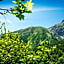 Appartamenti Campo Smith