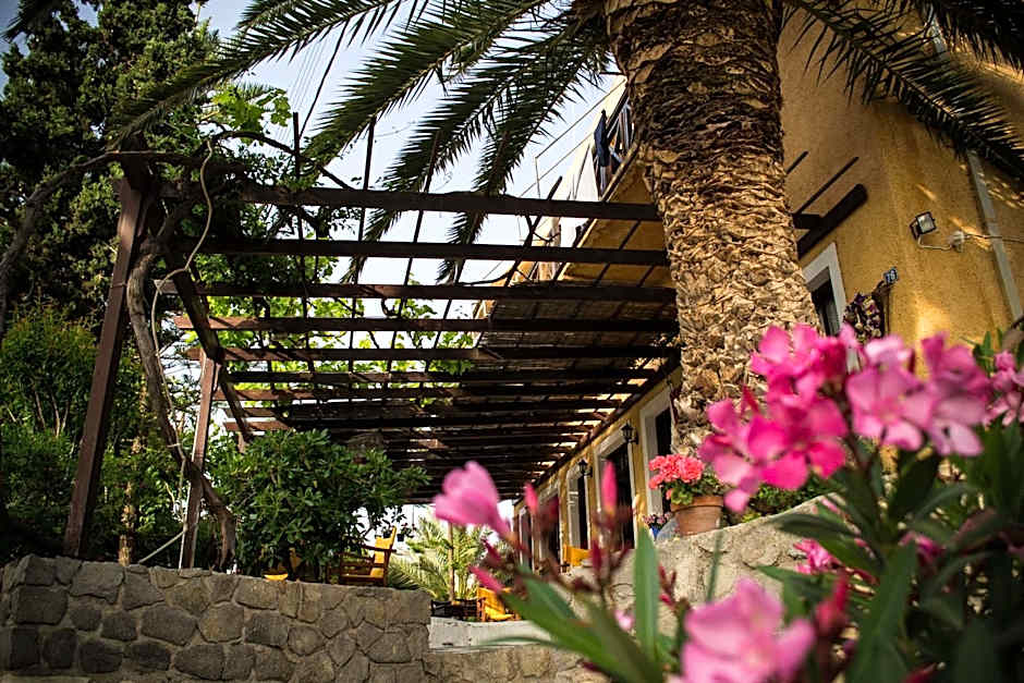 Vagia Traditional, Aegina Island