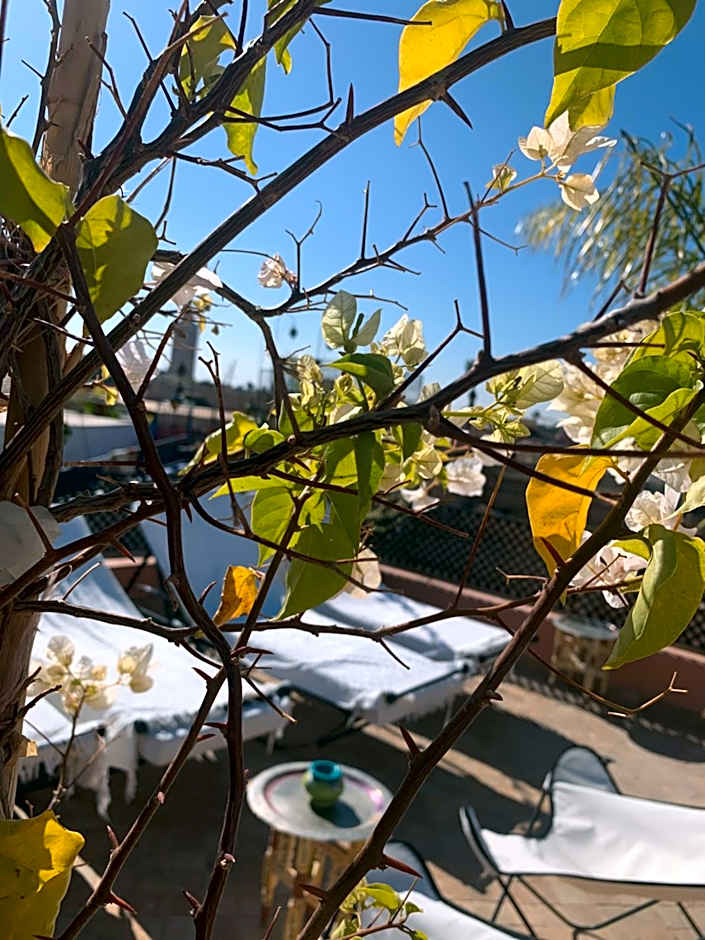 Riad Abaka hotel & boutique