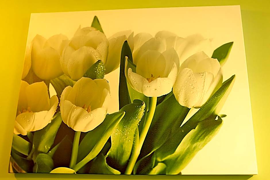 Hotel Neo Międzyrzecz