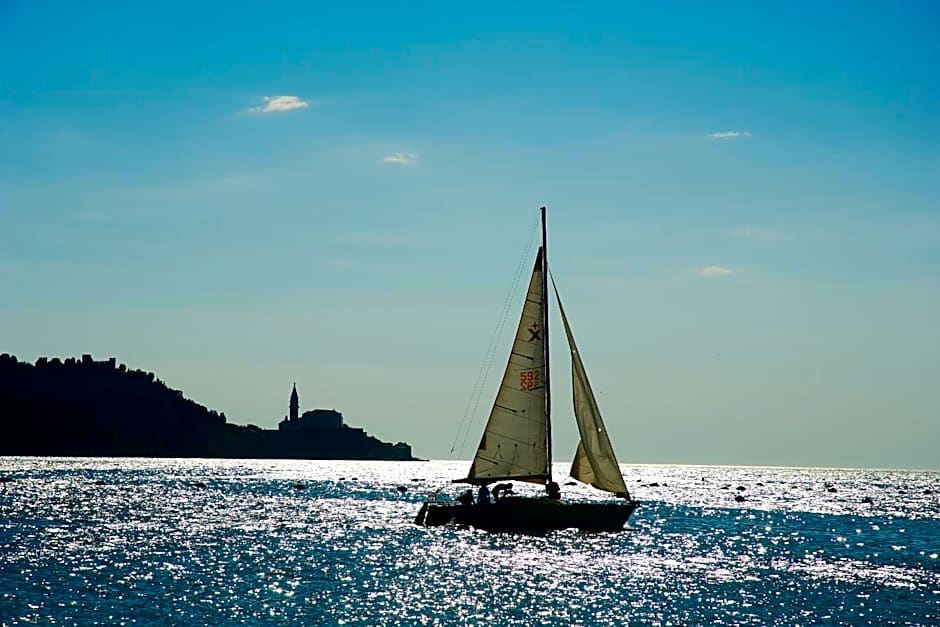 Holiday Park Vile - Terme Krka