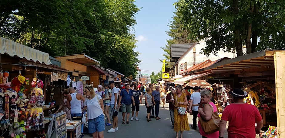 Zielone Wzgórza - Centrum Soliny - SPA 695-744-679