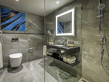 1 Bed Room Family Apartment - Queen Bed