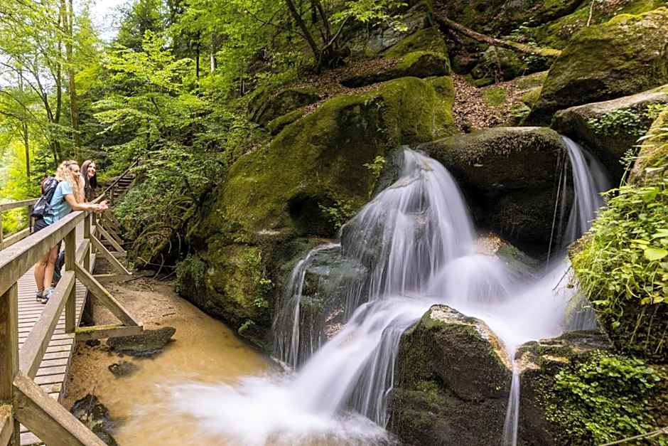 Schatz.Kammer Burg Kreuzen
