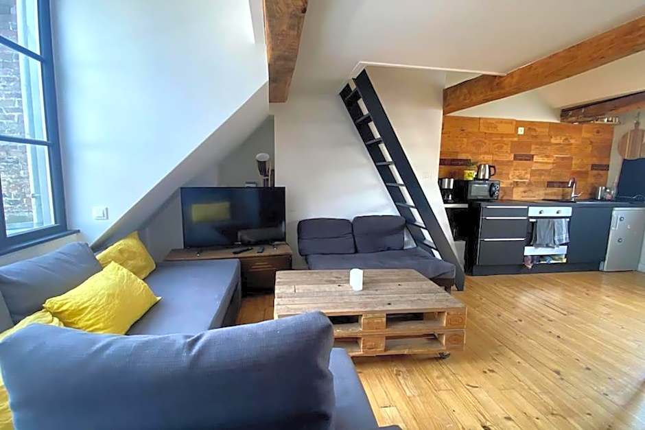 Beau T2 caractère Vieux Lille ! Matheo