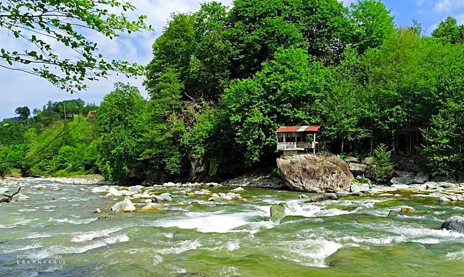 Teona Bungalow & Restaurant