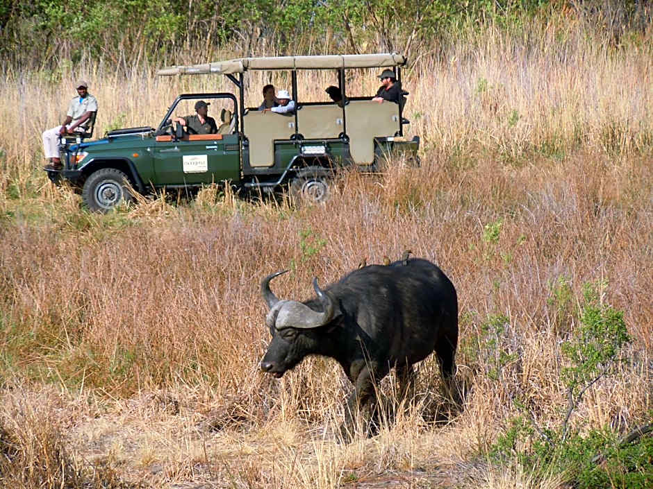 Little Mongena Tented Camp