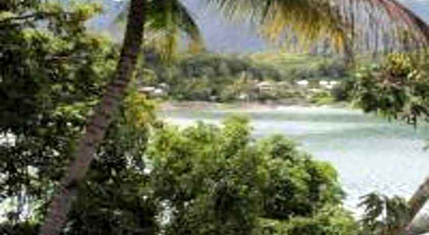 Laster Jony's Guest House