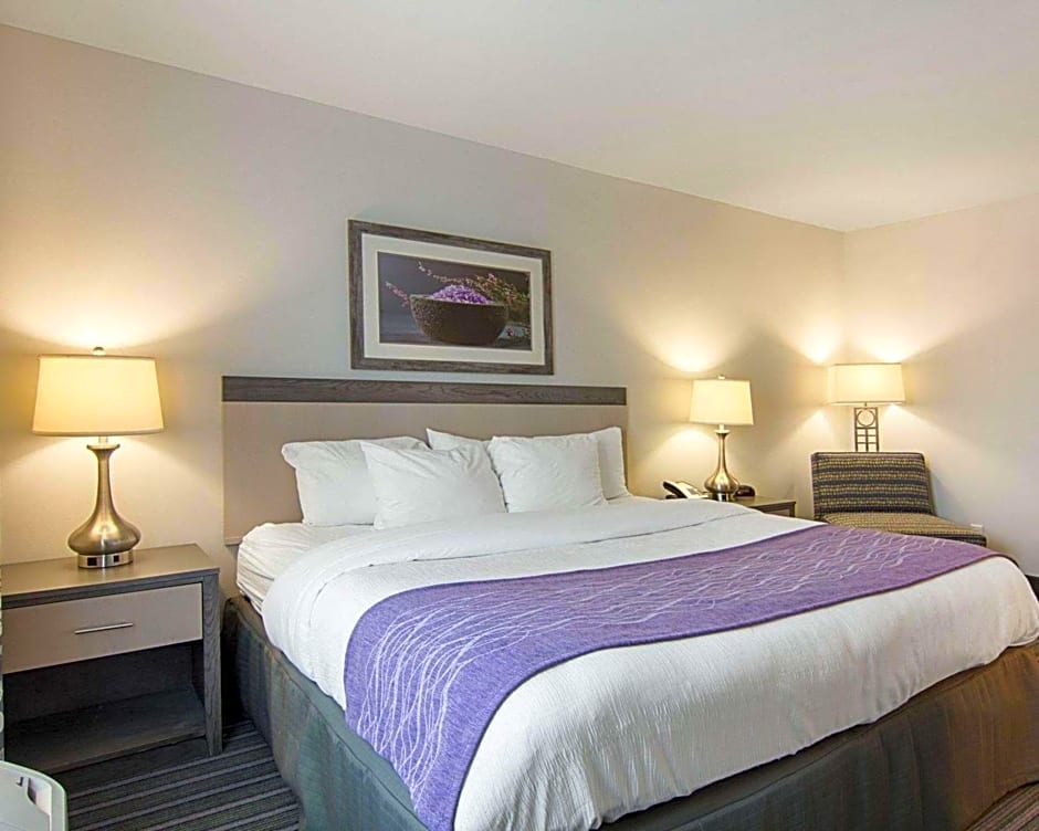 Comfort Inn Williamsburg Gateway
