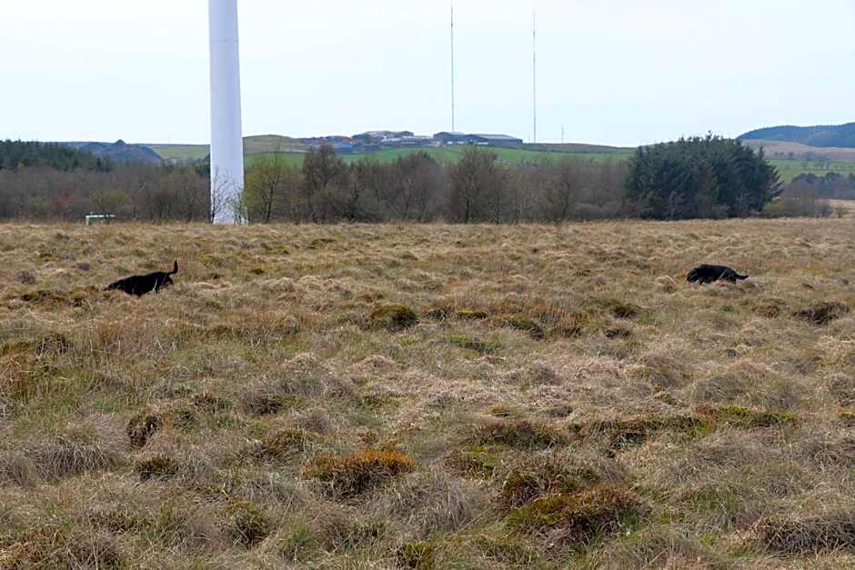 Blairmains Guest House