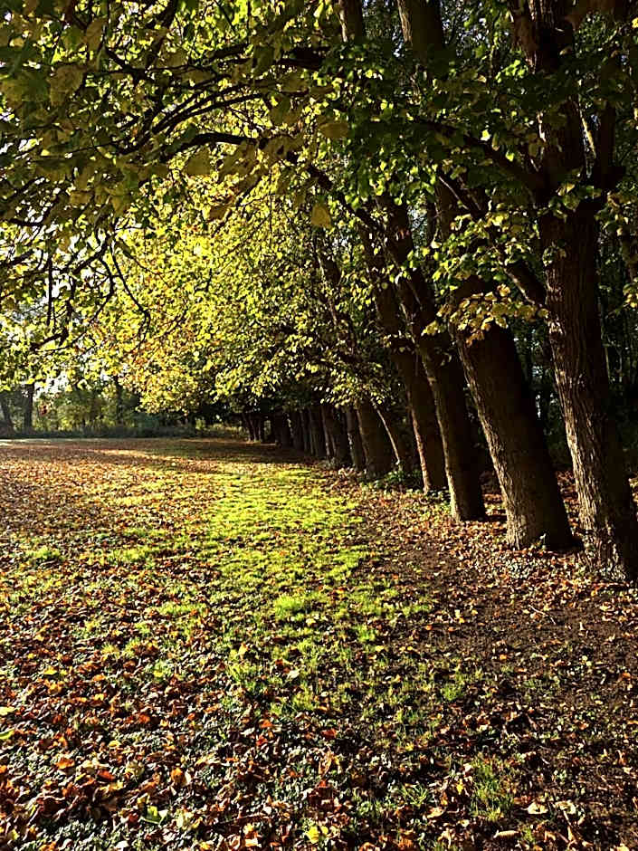 The Manor Country House Hotel