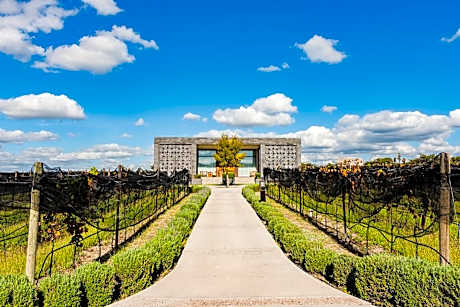 Casa Raíces Hotel Luxury & Viñedo