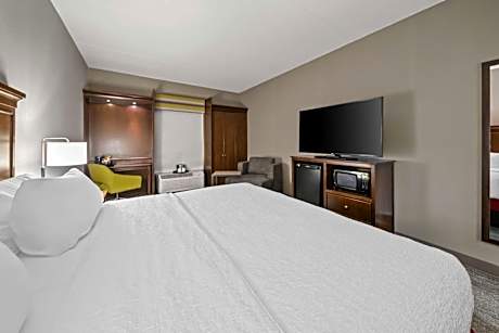 Accessible King Size Bed