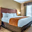 Comfort Suites Airport South