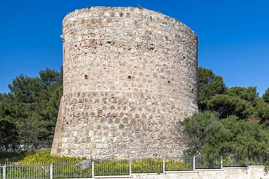Il Torrazzo da Francesca