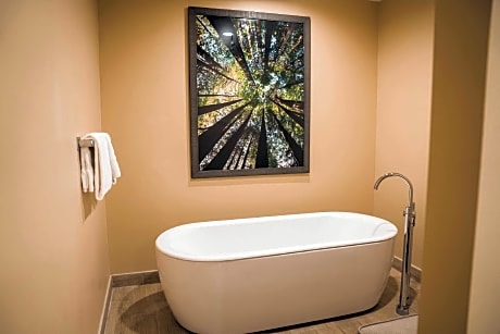 Tailwater Suite - King Mob/hear Acc W/ri Shwr Vis Firealrm/door/phn Alrt/grab Bars In Bath Not Pet F