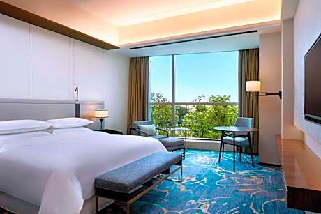 Premium King Room