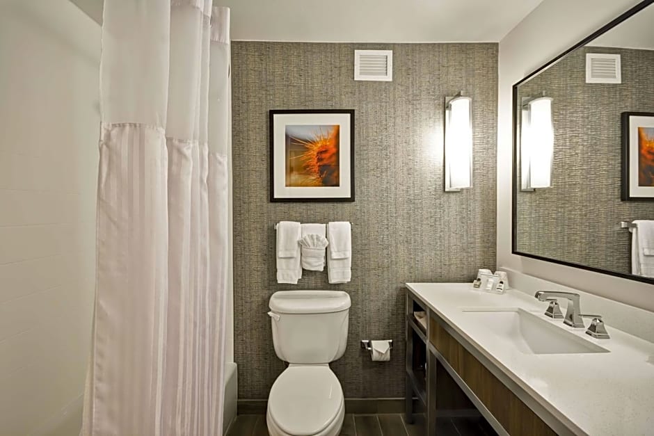 Hilton Garden Inn Austin/Round Rock