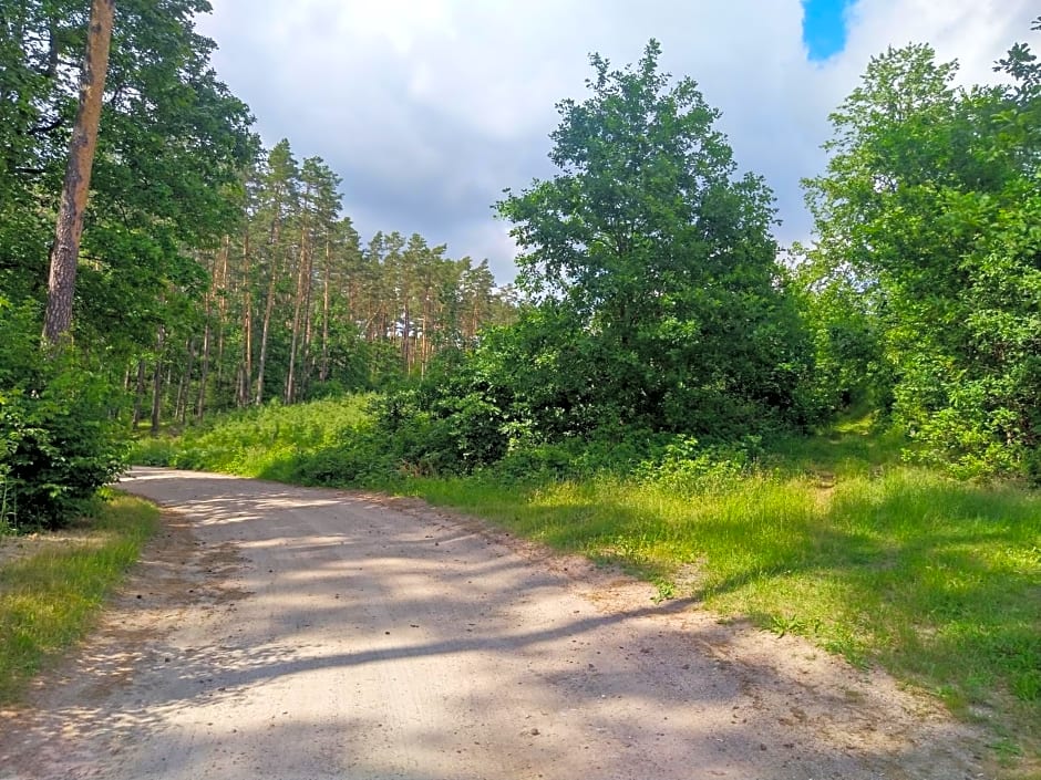 Nadbrzegiem Szczycionek - Domy całoroczne nad jeziorem