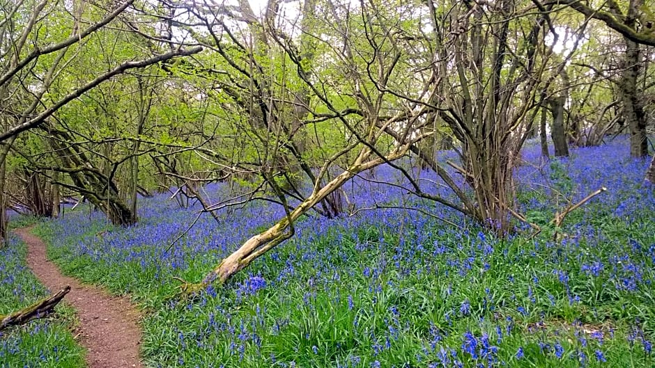 Hazler Lodge guest house