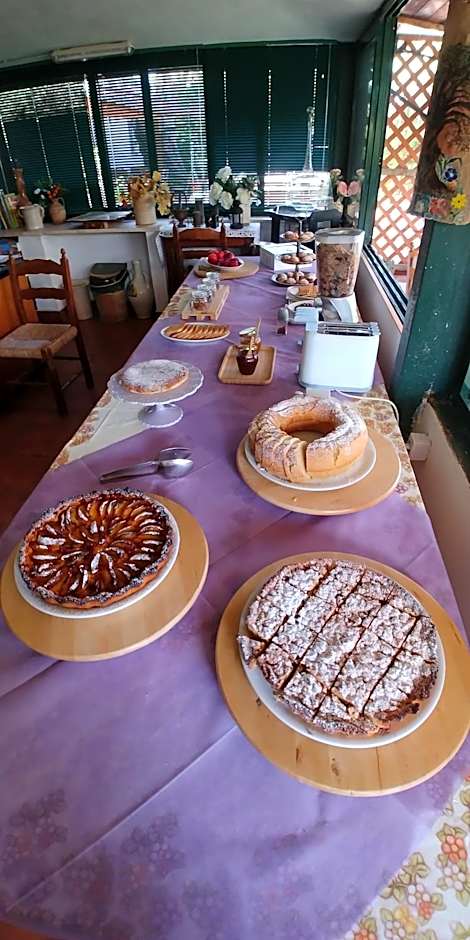 La Piana degli Ulivi