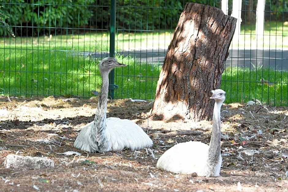 Vakantiepark Zevenbergen