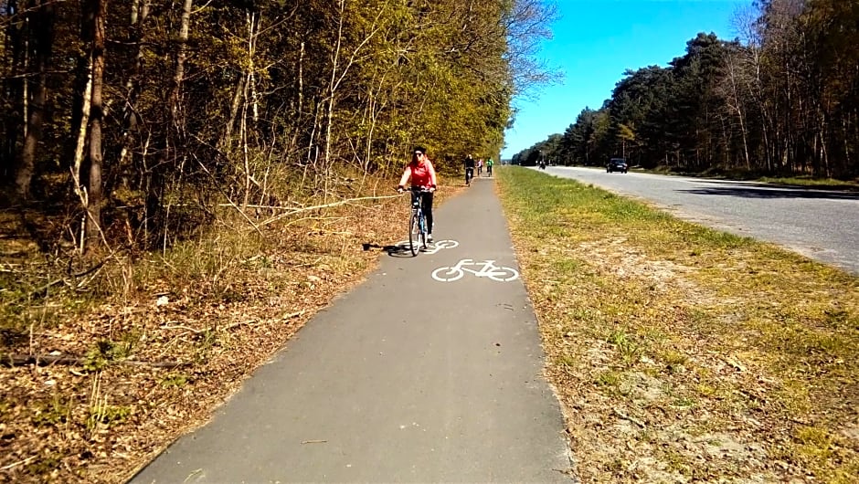 Pokoje goscinne Neptunia