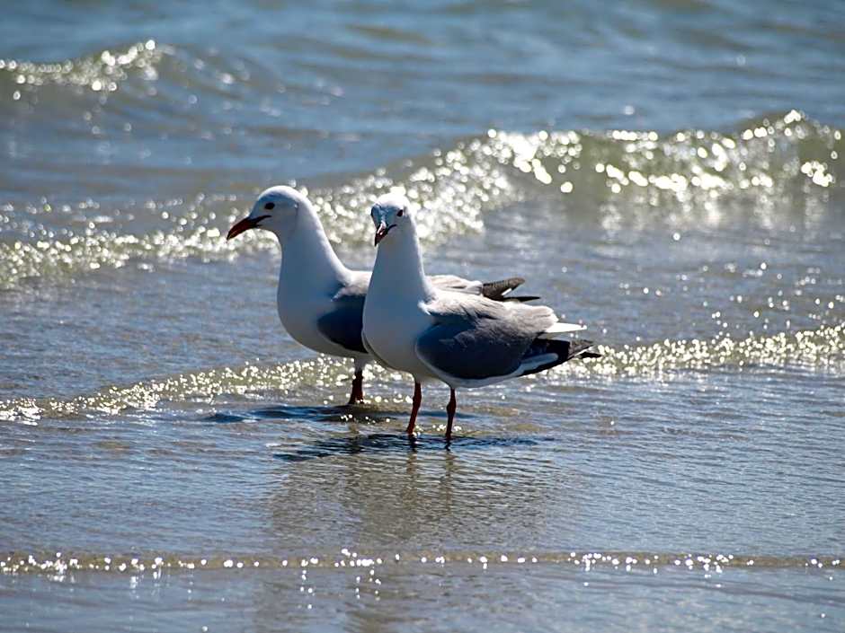 Melkbosstrand Bed and Breakfast