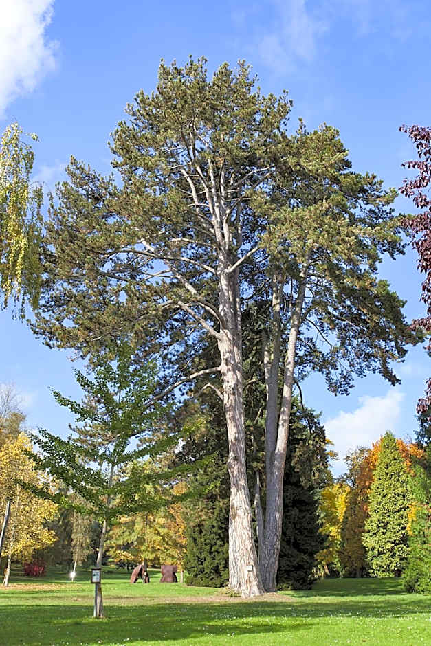 Kurhaushotel Bad Salzhausen