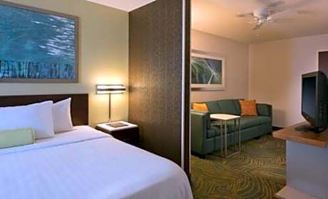 Deluxe King Suite
