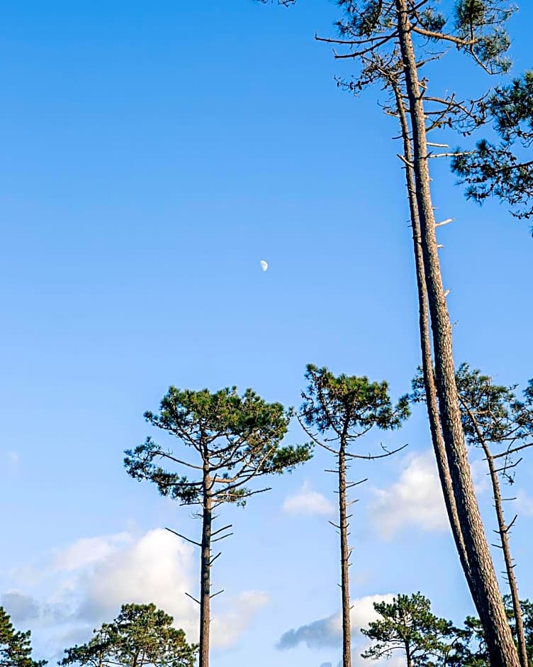 Arca Nova Guest House - Caminha