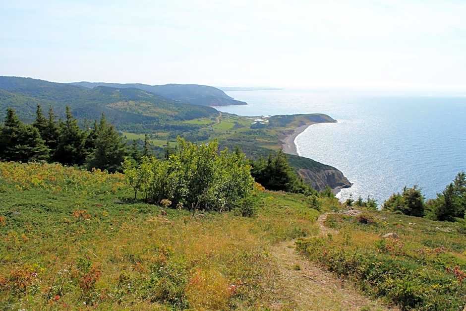 The Fiddle and the Sea Bed and Breakfast
