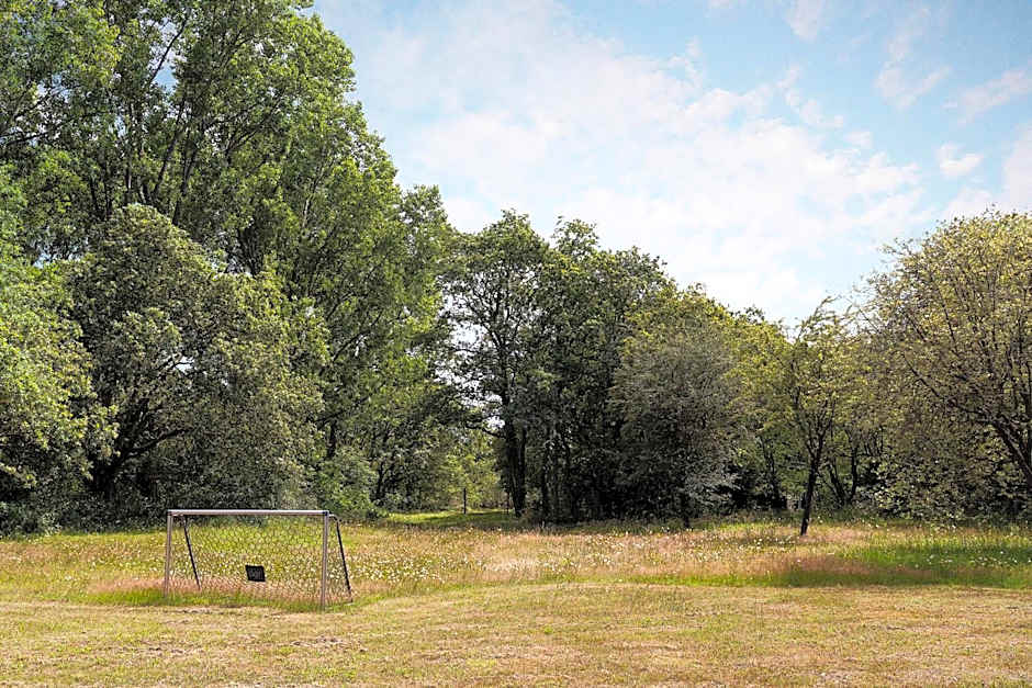 Bosvilla Kennemerduinen