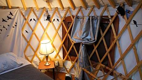 Queen Yurt at Yurt Village with Shared Bathroom