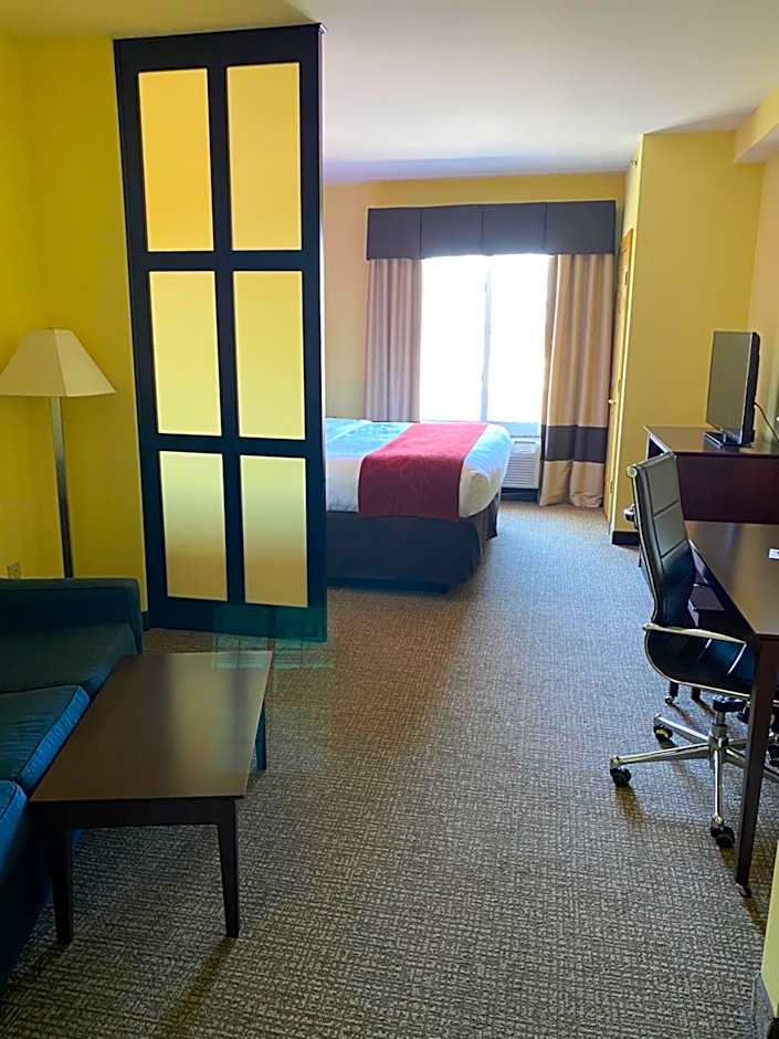 Comfort Suites Rock Hill Manchester Meadows Area