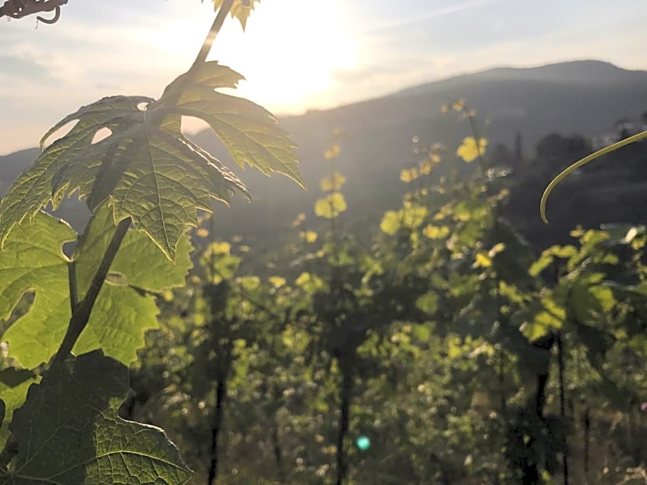 Locanda "Al Terrazzo"