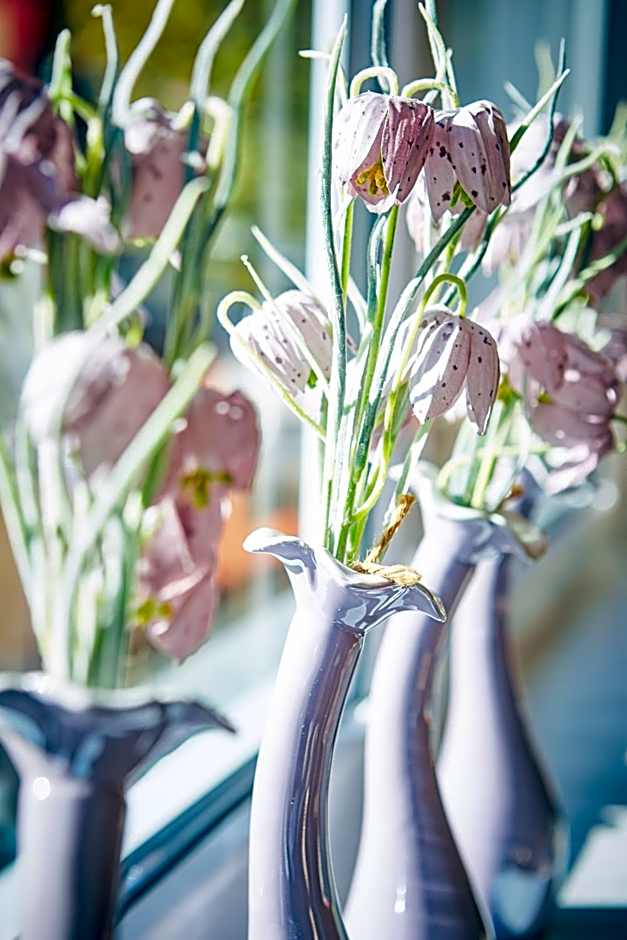 Am Zwölferkogel Appartements