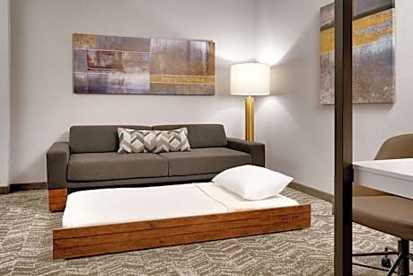 Studio Suite, 1 King Bed with Sofa bed (1 King Bed and 1 Double Sofa Bed)