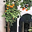 Riad ABBASSIA Marrakech Première - Authentic Medina Experience