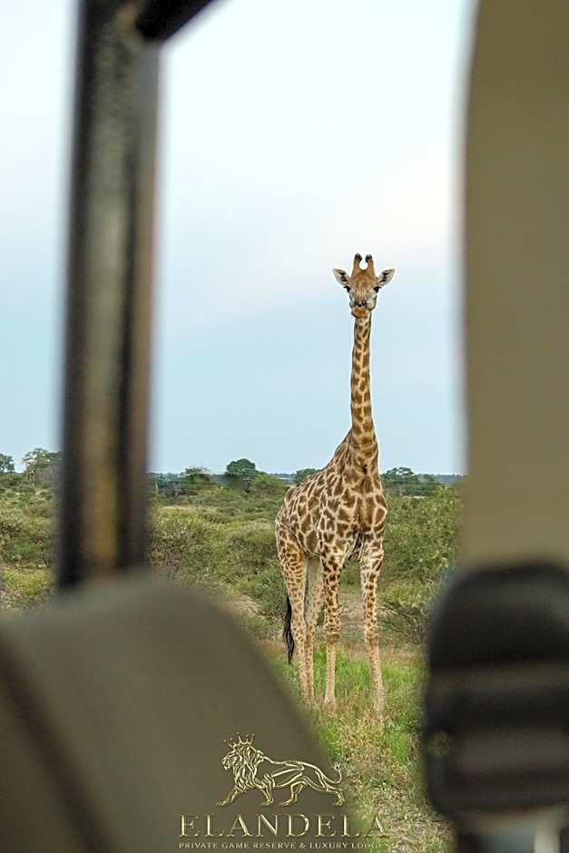 Elandela Private Game Reserve and Luxury Lodges Pty Ltd