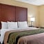 Comfort Inn - Pocono Mountain