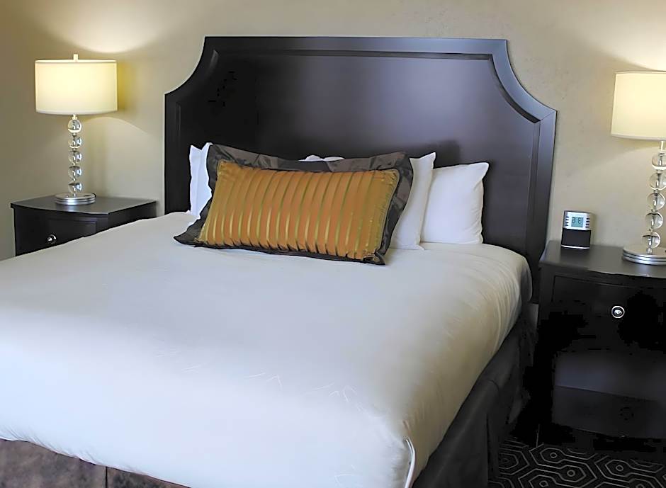 Executive 1 Queen Bed — 1 fotoğraftan 1. fotoğraf